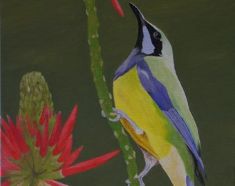 Original Oil Painting, Orange-bellied Leafbird, Bird Painting (12" x 16")