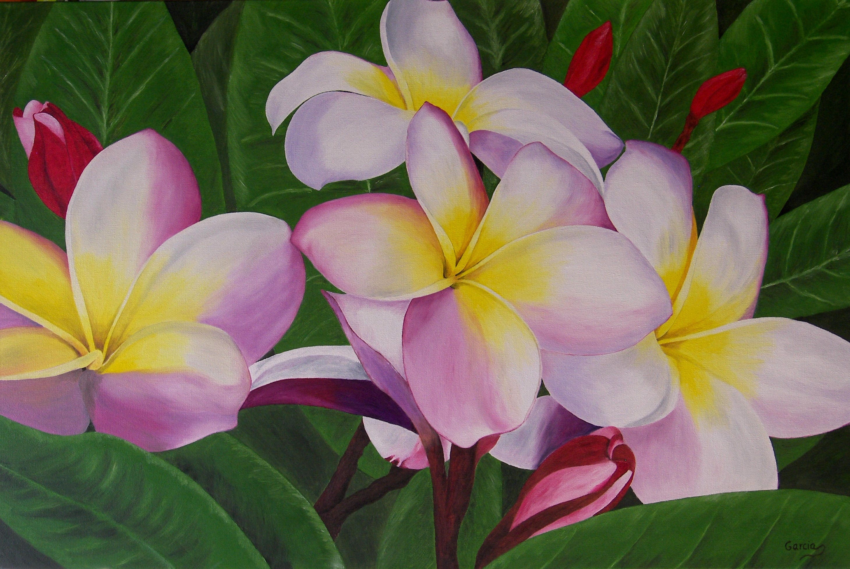 Plumeria Flower Oil Painting Frangipani oil painting Etsy