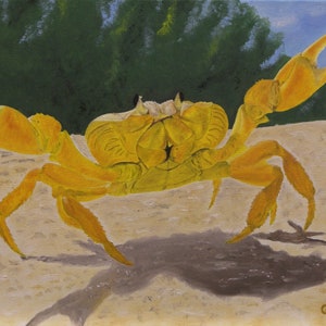 Crab Oil Painting, Cuban Crab,Original Oil Painting - &quot;Not So Calm Cuban Crab&quot; (12&quot; x 16&quot;)