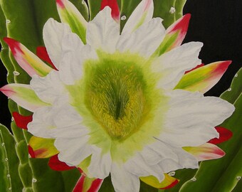 Cactus Flower Oil Painting, Original Oil Painting  "Night Queen" (24" x 24")