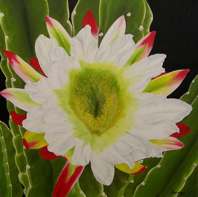 Cactus Flower Oil Painting Original Oil Painting night - Etsy
