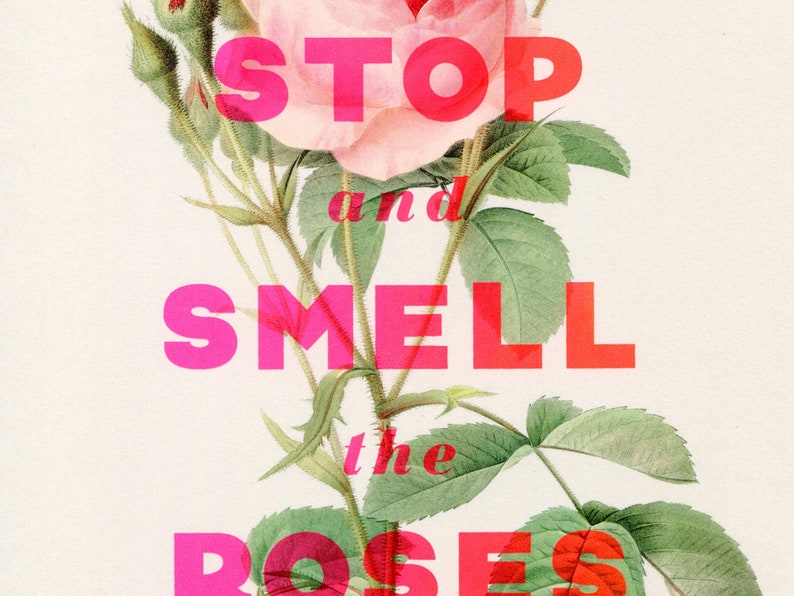 Stop And Smell The Roses Screenprint pink image 2