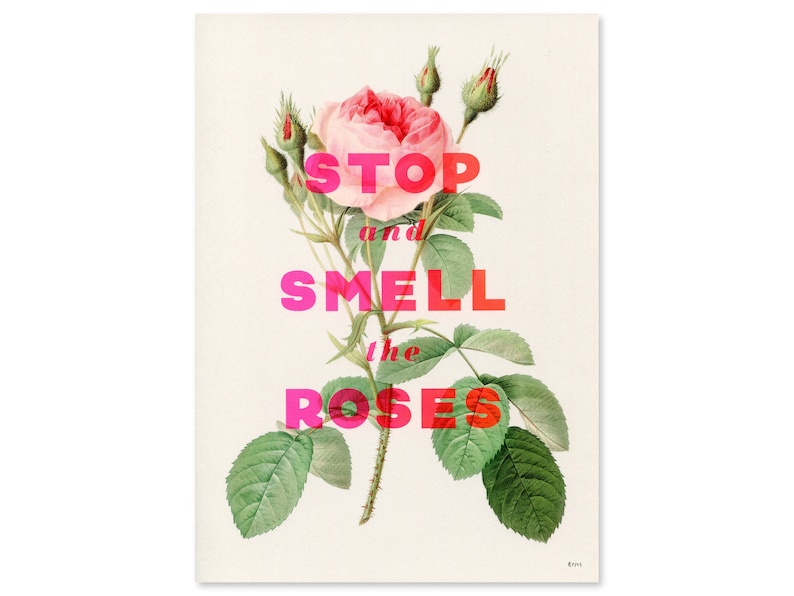 Stop And Smell The Roses Screenprint pink image 3