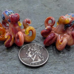 Persimmon Octo Baby Earrings