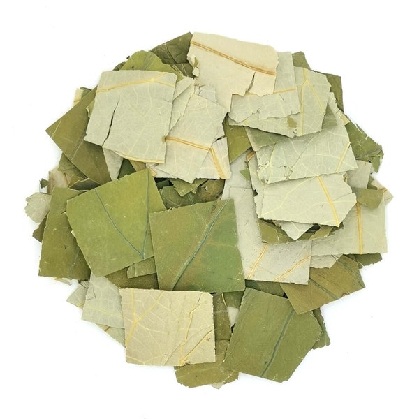 Sacred Lotus Leaf | Nelumbo Nucifera Cut & Sifted