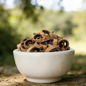 Magnolia Bark | Magnolia Officinalis | Hou Po