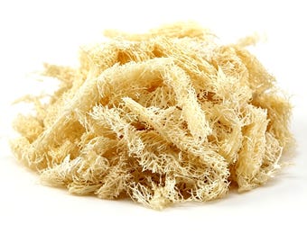 May include: A pile of dried, light beige luffa fibres with a porous, fibrous, and tangled texture. The material consists of numerous thin, interconnected strands that form a loose, airy cluster with a natural, pale, off-white coloration.