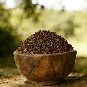 Ramulus Cinnamomi | Gałązka Cassia | Gui Zhi Cięta i Przesiewana