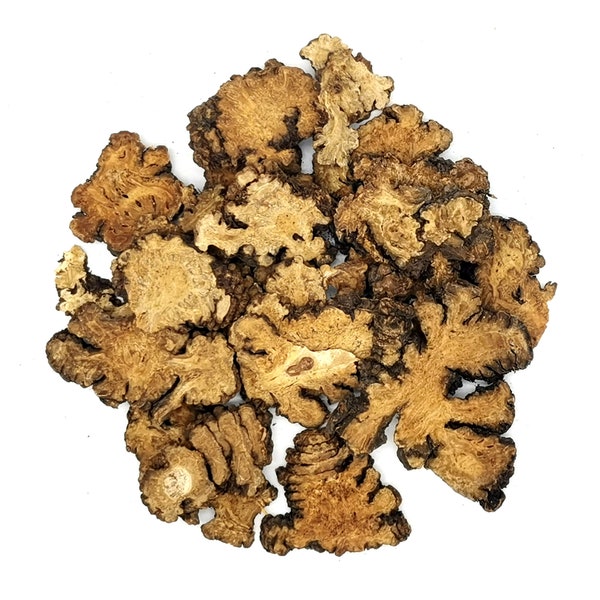 Ligusticum Root | Ligusticum Ecology | Chuanxiong Hort Cut & Sifted