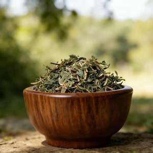 Herba Ecliptae | Eclipta Prostrata | Eclipta alba