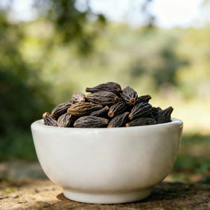 Black Myrobalan | Terminalia Chebula | Chebulae Fructus Immaturus