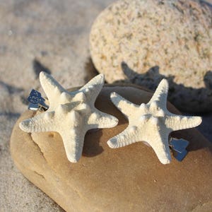 Small SET of White Knobby Starfish Hair Clips *limited time SALE!*