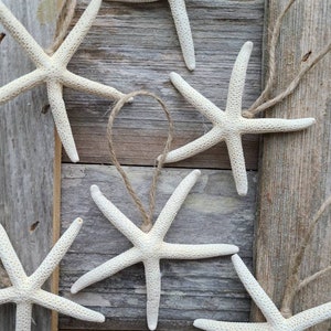 Set of 6 - Finger Starfish Ornaments (twine) (3"-4")