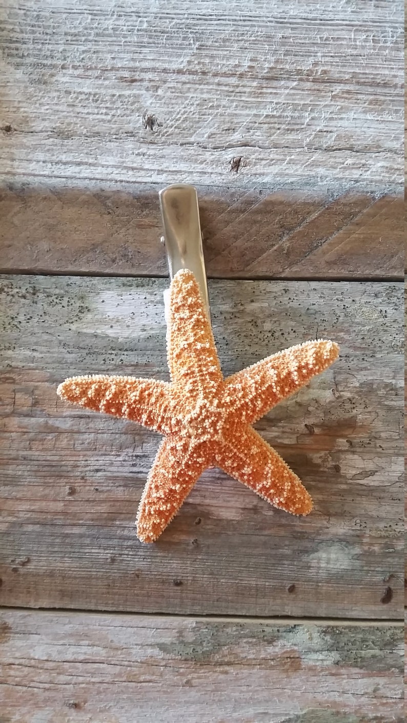 Traditional Starfish Hair Clip Etsy
