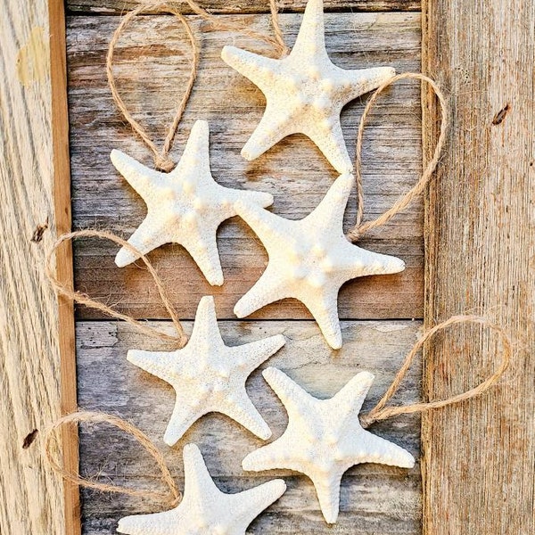 Set of 6 - White Knobby Starfish Ornaments (2"-3" Starfish)