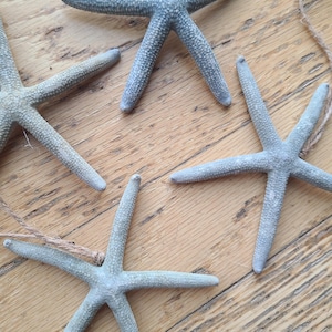 Set of 6 - Finger Starfish Ornaments Blue/Gray (twine) (3"-4")
