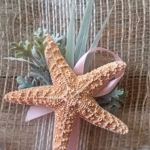 Traditional Starfish Boutonniere- W/Blush Pink Ribbon Accent