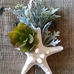 May include: A decorative starfish with a green succulent and silvery-green foliage. The starfish is white and has a textured surface. The arrangement is set against a weathered wooden background.