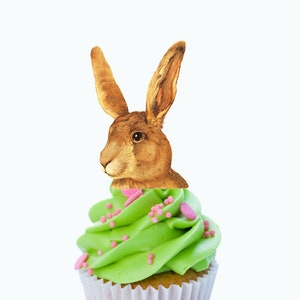 Easter Bunny Cupcake Toppers, Party Food Picks, 12 pack kit, Easter Decor image 1