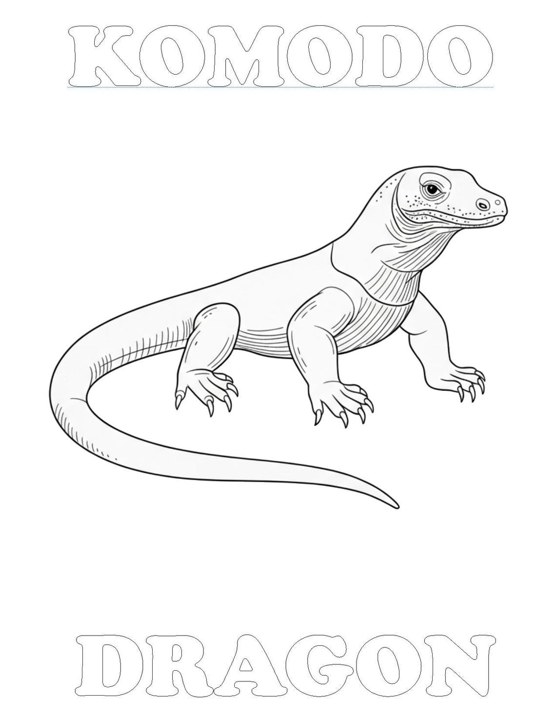 Komodo Dragon Coloring Page, Simple Line Art (digital Download) - Etsy