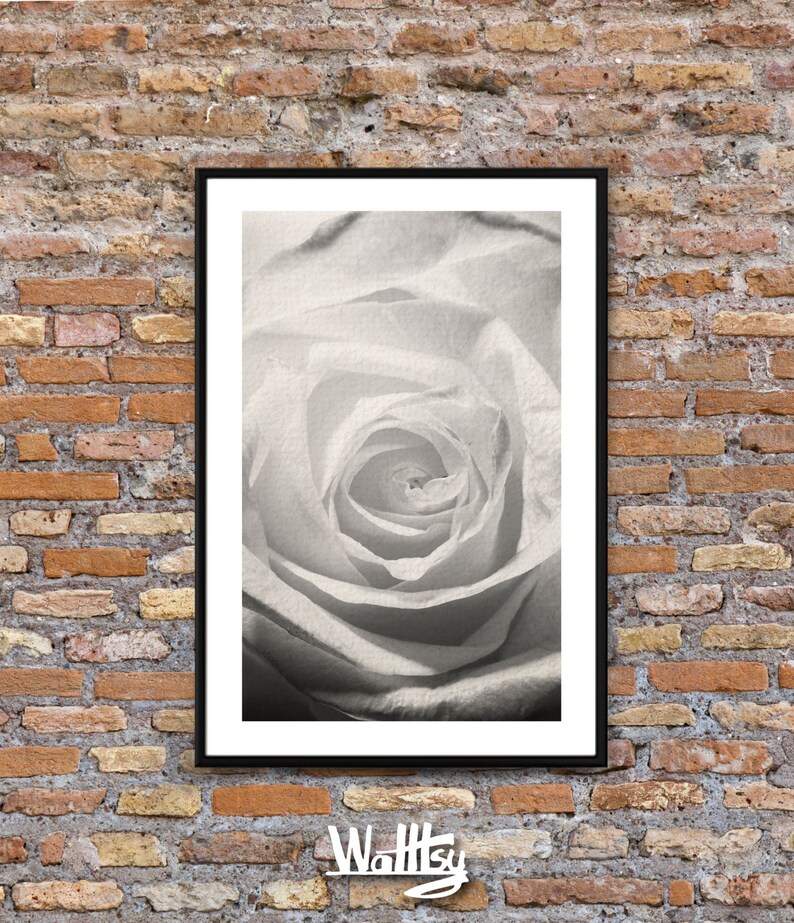 Rose Print Black and white Photography Flower Wall Art | Etsy