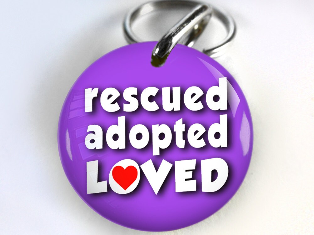 Cute Dog ID Tag Pet id tags Unique pet tags Personalized Etsy