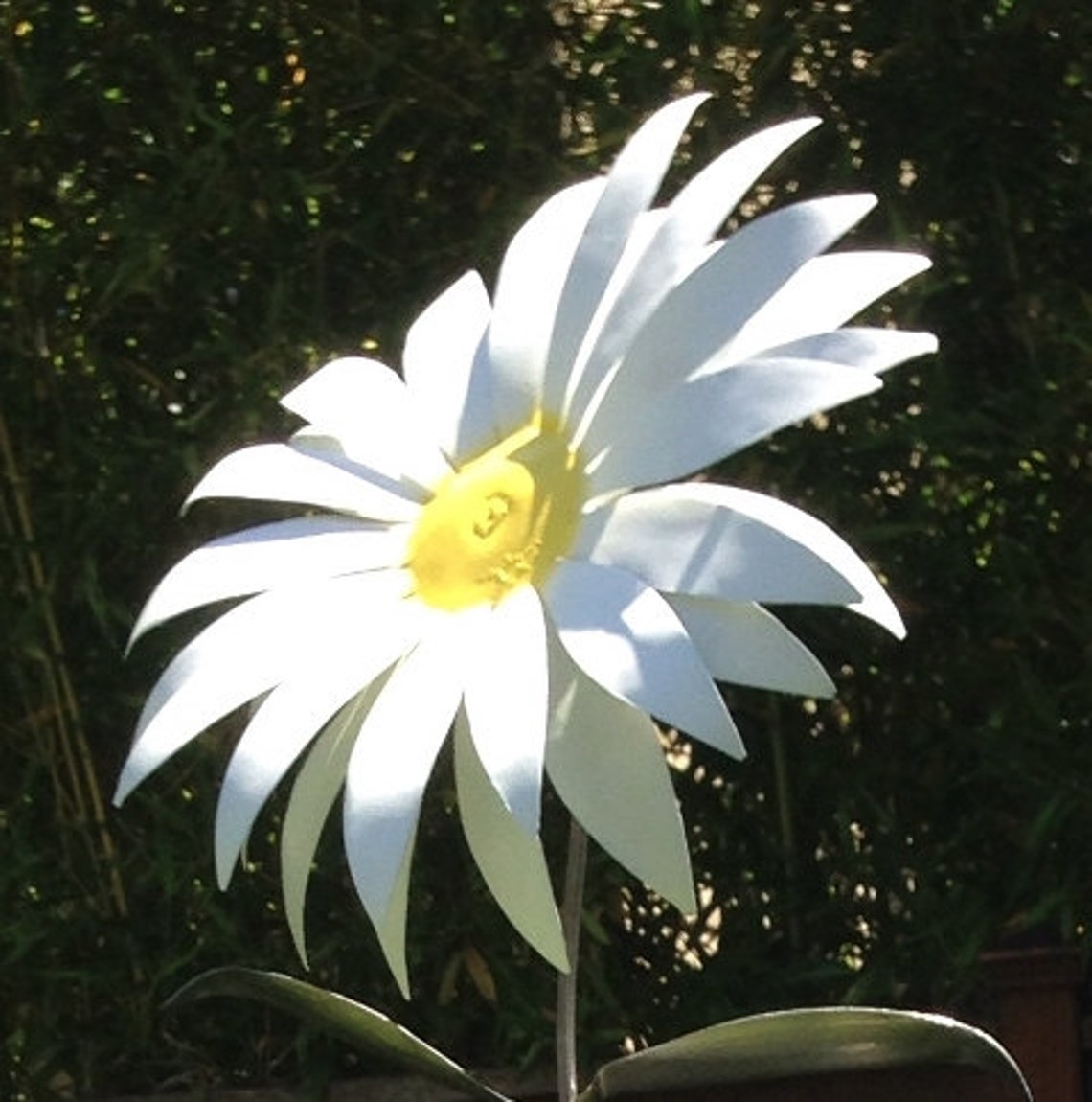 Giant Daisy for Garden or Home Etsy