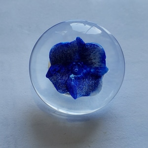 Op de afbeelding: Een glazen stolp met daarin een blauwe bloem van hars. De bloem heeft een wit hart.