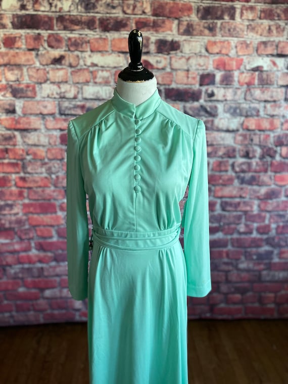 Vintage 1970s Mint Green Maxi | Prom Dress | Form… - image 1