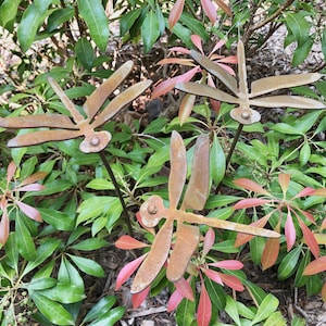 Metal Dragonfly Set - Garden Art