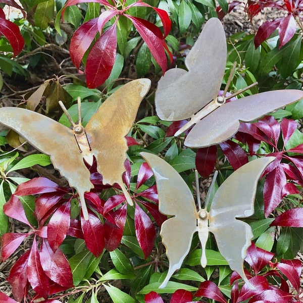 Metal Butterfly Set - Garden Art