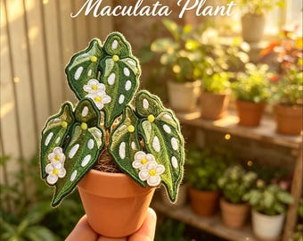 Begonia Maculata Plant :Handmade Embroidered Potted Plant Ornament | Mini Faux Botanical Desk Decor