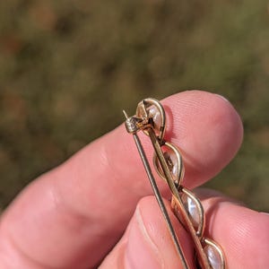 May include: Close-up of a gold-toned brooch featuring a series of oval-shaped, off-white stones. The brooch has a pin closure on the back. The background is blurred, with hints of green and brown.
