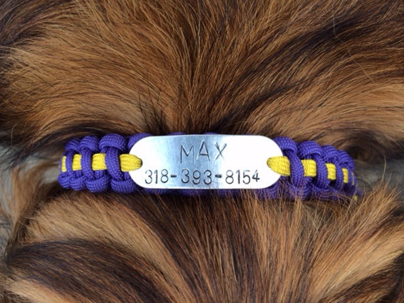 Custom Dog Collar & Leash Combo Etsy