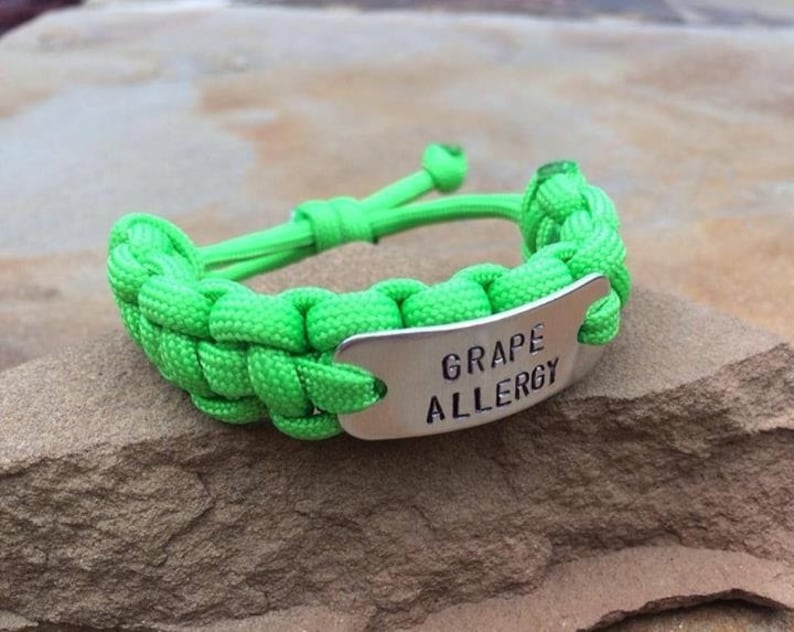 Child Medic Alert Allergy Bracelet Adjustable Etsy