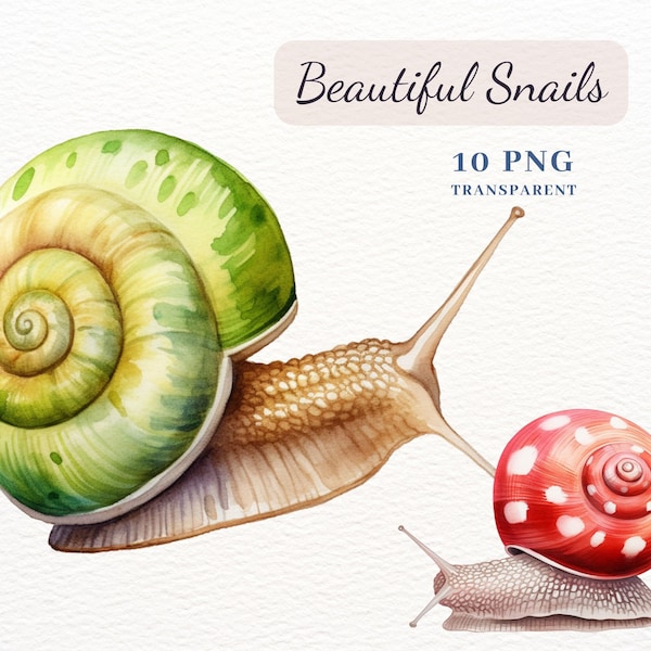 Beautiful Snails Clipart, PNG Clipart Bundle, 10 High Quality Images, Nursery Wall Art, Scrapbook Papers, Mixed Media, Cards Making, Sticker