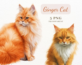 Ginger Cat Clipart, PNG Commercial Use Clip Art, PNG Clipart Bundle, Digital Download, POD Allowed, Cards Making, Scrapbooking, Sublimation