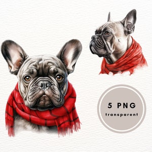 French Bulldog Clipart, 5 PNG files, French Bulldog Illustration, PNG Clipart, Junk Journal, Digital Paper Craft, Crafting Bundle