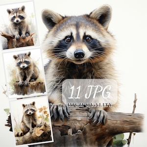 Clipart aquarelle de raton laveur, illustrations de raton laveur, 11 images JPG de haute qualité, journal indésirable, lot d'images numériques, ensemble de collage, sublimation
