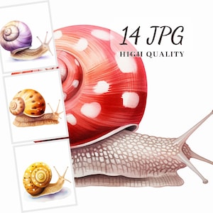 Beaux escargots Clipart, 14 Illustrations de haute qualité, Clipart numérique, Art mural escargots, affiche de pépinière d’escargots, sublimation d’escargots, cartes