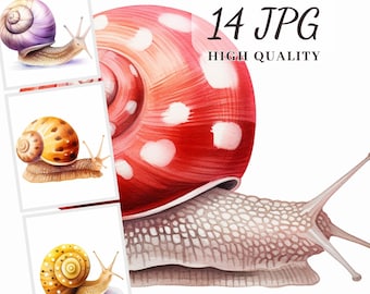 Imágenes prediseñadas de caracoles, ilustraciones de alta calidad, decoración de pared para guardería (archivos JPG digitales)