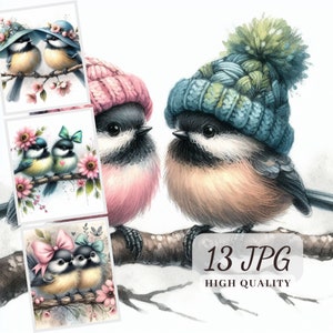 Clipart oiseaux mignons, clipart imprimable mésanges, haute qualité 13 JPG, téléchargement numérique, créations en papier, journaux indésirables, fabrication de cartes, POD autoriser
