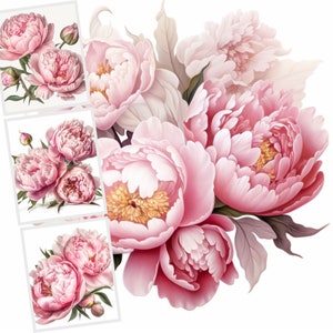 Aquarell Rosa Pfingstrose Clipart, 18 hochwertige JPG-Bilder, Rosa Blumen Clipart, druckbare Grafiken, digitale Wandkunst, Junk Journal, Karten