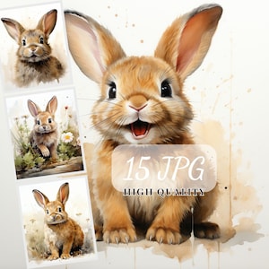 Happy Bunny Clipart, Clipart Bundle, Bunny Illustrations, 15 High Quality JPG Images, POD Allowed, Bunny Sublimation, Scrapbooking, Cards