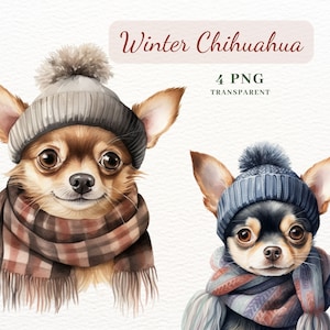 Chihuahua Clipart Bundel, 4 PNG-afbeeldingen van hoge kwaliteit, Chihuahua Digitale Download, Junk Journal, Digitale Planner, Scrapbooking Papier, Kaarten