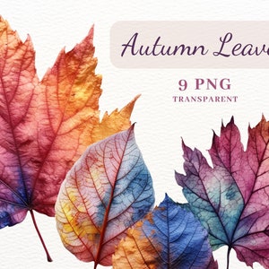 Clipart de folhas de outono em aquarela, pacote de clipart PNG, 9 imagens PNG, clipart de outono, clipart de outono, folhas de bordo, scrapbooking de outono, cartões