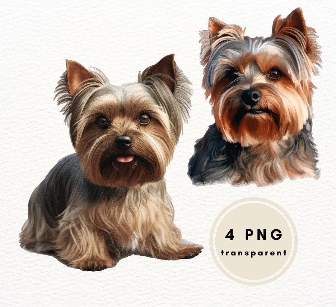 Watercolor Yorkshire Terrier Clip Art PNG Bundle, Commercial Use Clip