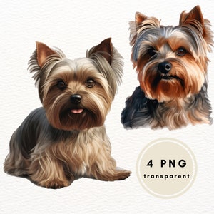 Watercolor Yorkshire Terrier clip art PNG bundle, Commercial Use Clip Art, Digital Art Clipart, POD Allowed, Junk Journal, Nursery Art