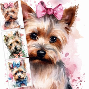 Yorkshire Terrier Digital Clipart Nr.2, Digital ClipArt, Digital Crafting, Paper for Crafts, Collage, Card Making, Nursery Art, Sublimation