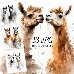 Aquarelle Lamas Clipart, Bundle Clipart Lamas, 13 Images JPG, Téléchargement numérique, Cartes faisant des lamas, Scrapbooking, Collage, Sublimation